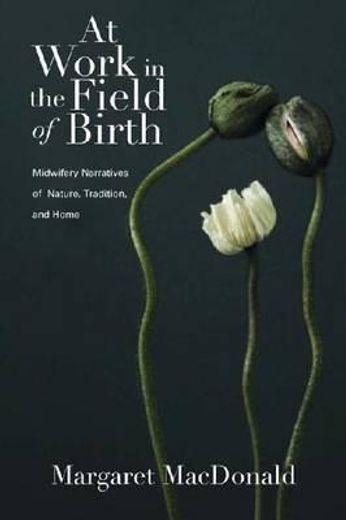 at work in the field of birth,midwifery narratives of natural, tradition, and home