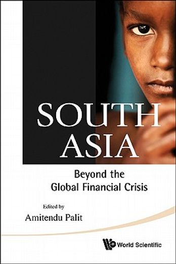 south asia,beyond the global financial crisis