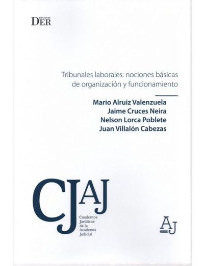 Tribunales laborales: nociones básicas de organización y funcionamiento (in Spanish)