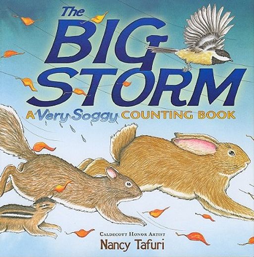 the big storm,a very soggy counting book