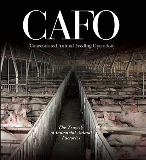 Cafo: The Tragedy of Industrial Animal Factories (en Inglés)