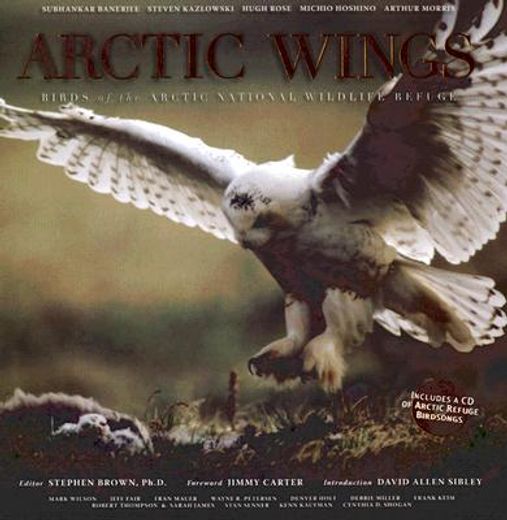 arctic wings,birds of the arctic national wildlife refuge