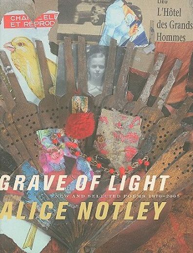 grave of light,new and selected poems, 1970-2005 (in English)