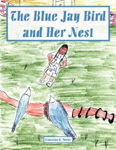 the blue jay bird and her nest