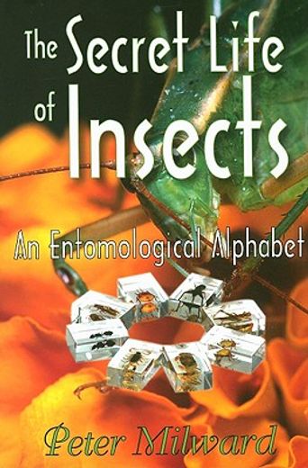 The Secret Life of Insects: An Entomological Alphabet (en Inglés)
