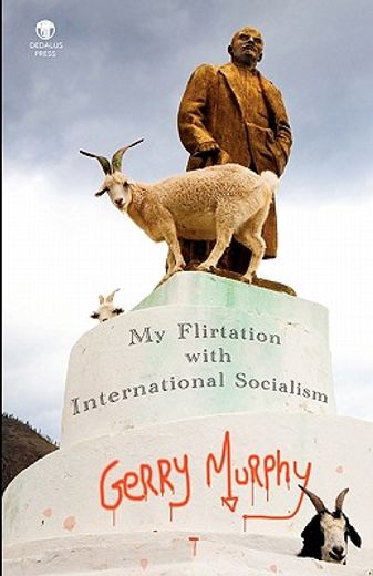 my flirtation with international socialism