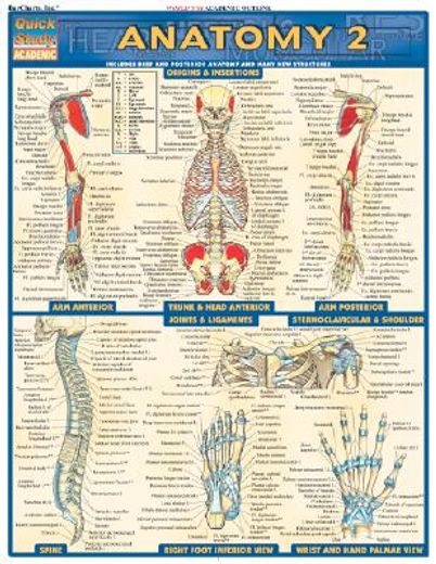 anatomy 2 quick study reference guide