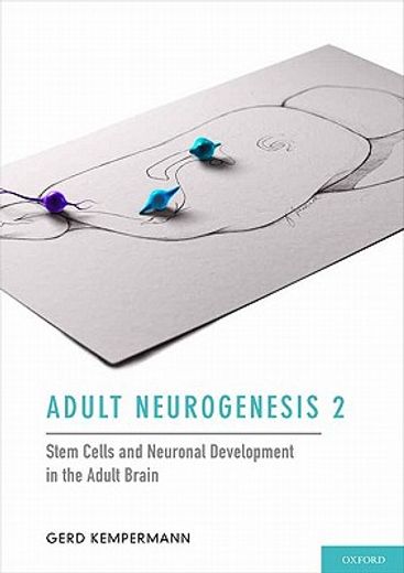 adult neurogenesis 2,stem cells and neuronal development in the adult brain