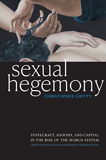 Sexual Hegemony: Statecraft, Sodomy, and Capital in the Rise of the World System (Theory q) (en Inglés)