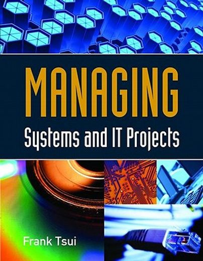 managing systems and it projects