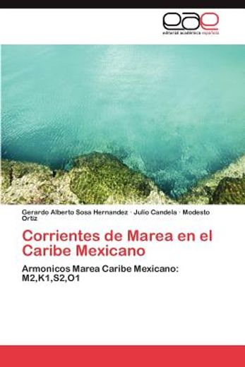 corrientes de marea en el caribe mexicano