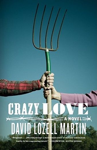 crazy love (in English)