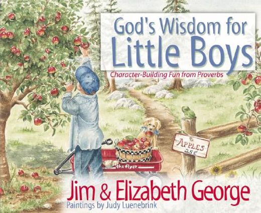 god´s wisdom for little boys,character-building fun from proverbs (in English)