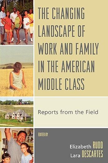 the changing landscape of work and family in the american middle class,reports from the field