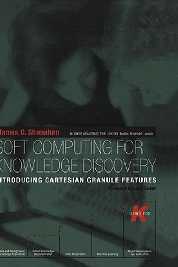 soft computing for knowledge discovery (en Inglés)