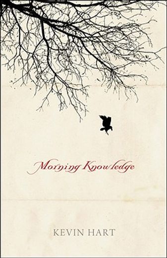 morning knowledge (en Inglés)