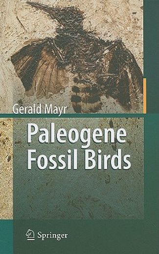 paleogene fossil birds