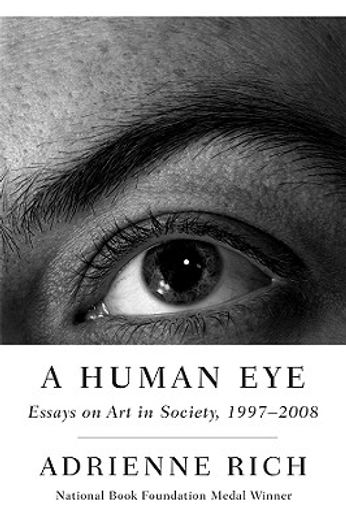 a human eye,essays on art in society, 1997-2008 (en Inglés)