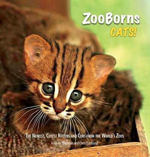 ZooBorns Cats!: The Newest, Cutest Kittens and Cubs from the World's Zoos (en Inglés)
