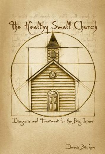 the healthy small church,diagnosis and treatment for the big issues (in English)