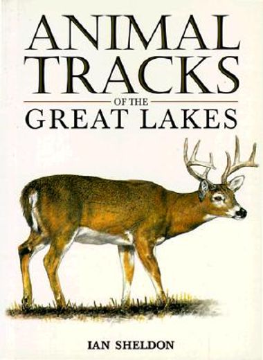 animal tracks of the great lakes (en Inglés)