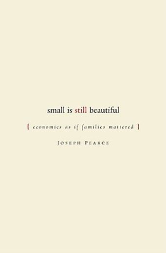 small is still beautiful,economics as if families mattered