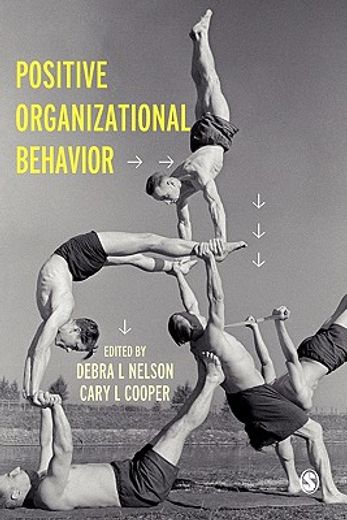 positive organizational behaviour