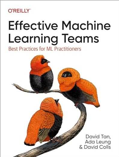 Effective Machine Learning Teams: Best Practices for ml Practitioners (en Inglés)