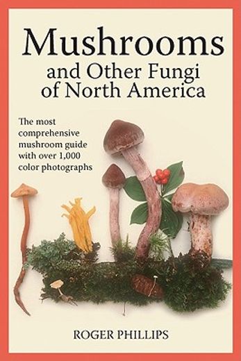 mushrooms and other fungi of north america