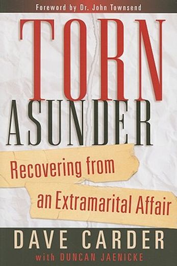 torn asunder,recovering from an extramarital affairs