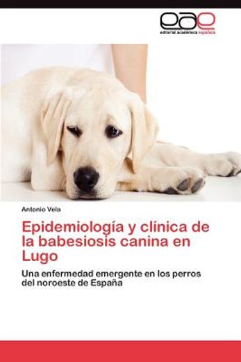 epidemiolog a y cl nica de la babesiosis canina en lugo