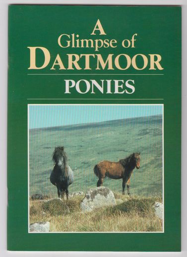 A Glimpse of Dartmoor Ponies