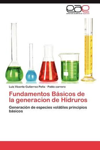 fundamentos b sicos de la generacion de hidruros (in Spanish)