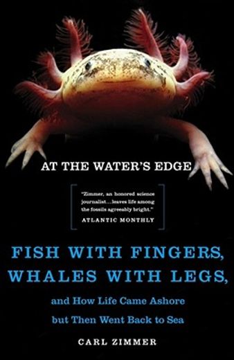 at the water´s edge,fish with fingers, whales with legs, and how life came ashore but then went back to sea (en Inglés)