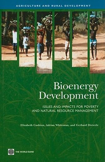 bioenergy development,issues and impacts for poverty and natural resource management