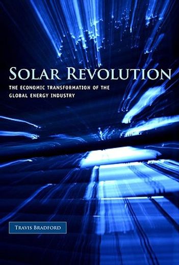 solar revolution,the economic transformation of the global energy industry