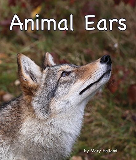 Animal Ears (en Inglés)