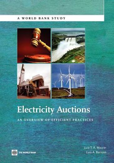 electricity auctions,an overview of efficient practices