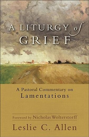 a liturgy of grief,a pastoral commentary on lamentations