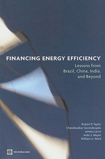 financing energy efficiency,lessons from brazil, china, india, and beyond