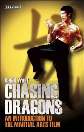 chasing dragons,an introduction to the martial arts film