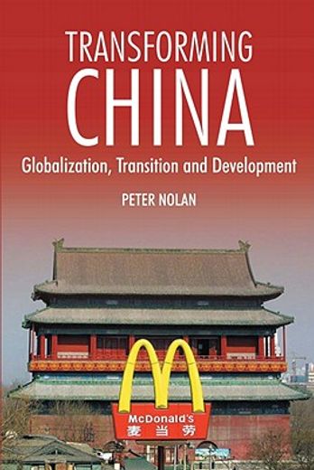 transforming china,globalization, transition and development