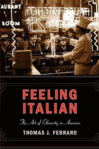 feeling italian,the art of ethnicity in america