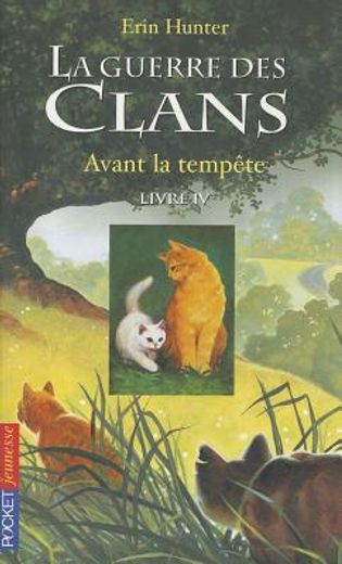 Guerre Clans T4 Avant Tempete (in French)
