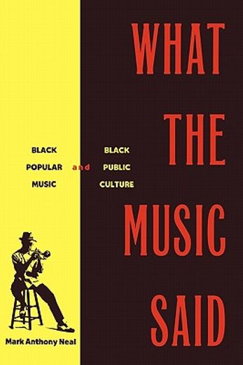 what the music said,black popular music and black public culture