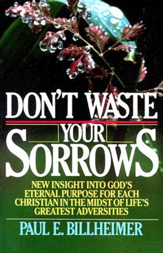 dont waste your sorrows: new insight into god ` s eternal purpose for each christian in the midst of life ` s greatest adversities