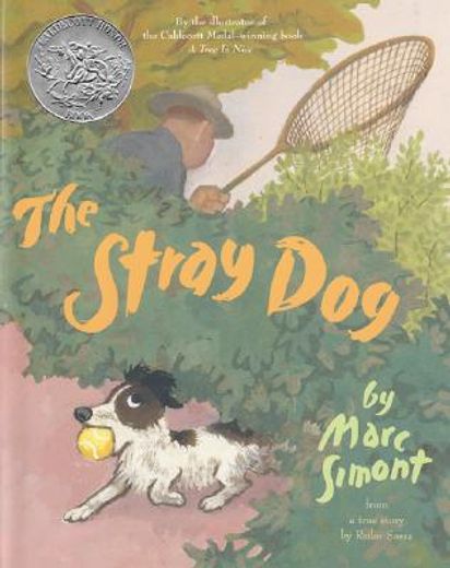 the stray dog,from a true story by reiko sassa (in English)