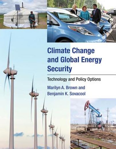 climate change and global energy security,technology and policy options