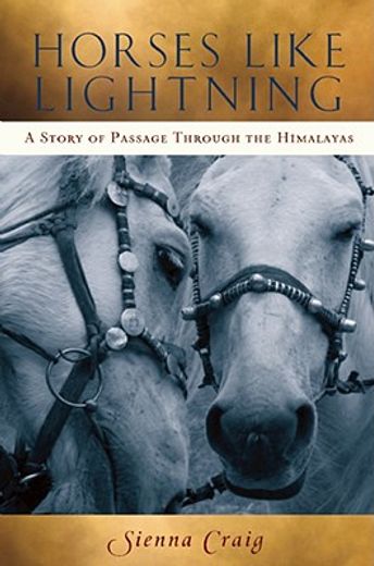 horses like lightning,a story of passage through the himalayas