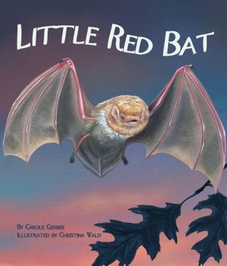 Little Red Bat (en Inglés)